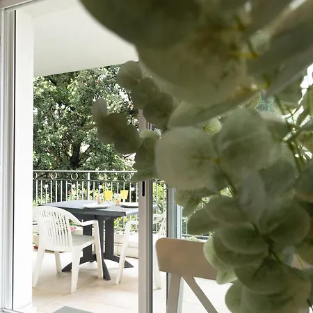 Apartment La Terrasse D'ondine *